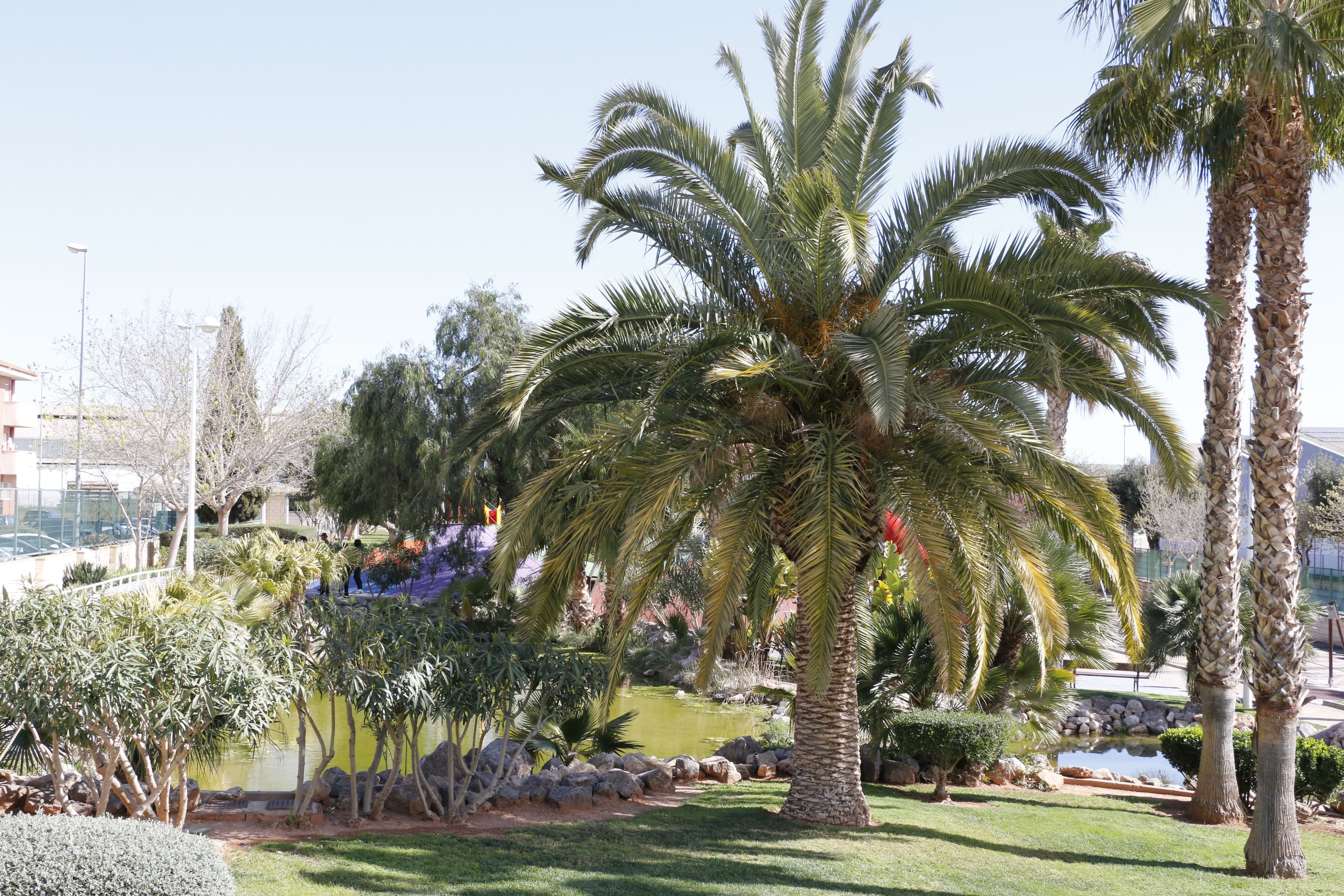 El parque Ribelles